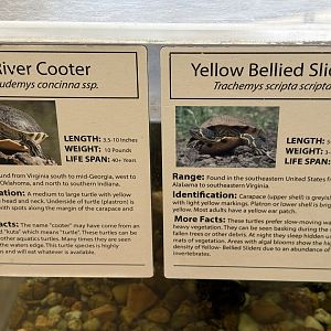 Signs - River Cooter and Yellow Bellied Slider