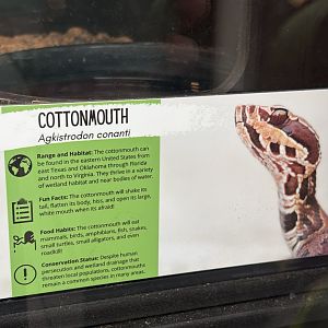 Sign - Cottonmouth