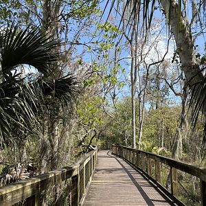 Boardwalk Trail