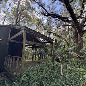 Old Building with stage