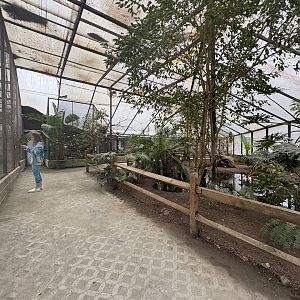 Wings of the Tropics aviary