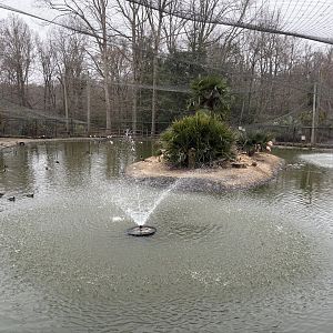 Multinational Aviary