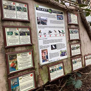 Tropical House signage, March 2025, CWP, UK