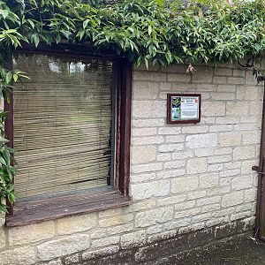 Southern Masked Weaver signage, CWP, UK
