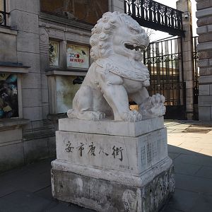 Lion statue from Antwerp's Chinese quarter, temporarily placed by the zoo's entrance, 2025-03-16