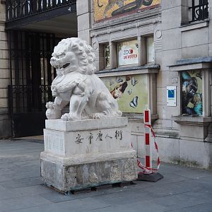 Lion statue from Antwerp's Chinese quarter, temporarily placed by the zoo's entrance, 2025-03-16