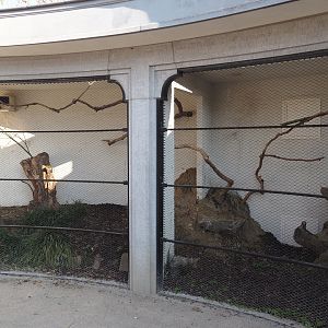 Partially redone Swift parrot and Blue-faced honeyeater aviary, 2025-03-16