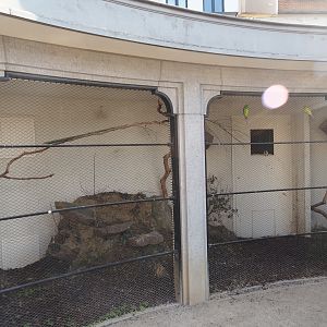 Partially redone Swift parrot and Blue-faced honeyeater aviary, 2025-03-16