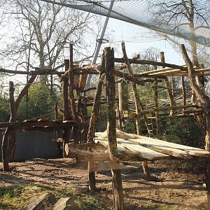 Chimpanzee exhibit with new climbing structures, 2025-03-16