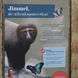 Signage about female Hamlyn's monkey, referencing TV series about the zoo, 2025-03-16