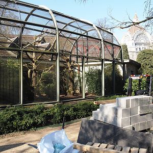 Construction materials next to Hyacinthine macaw aviary, 2025-03-16