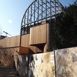 Screened-off hippo house and hippo house aviary - For planned pygmy hippo renovation/Re-purpose? - 2025-03-16