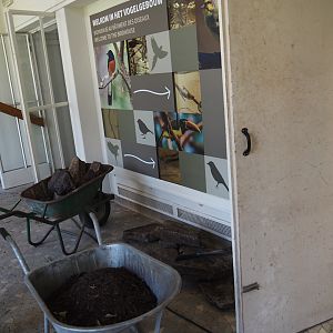 Big spring cleaning in the bird house, 2025-03-16