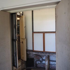 Big spring cleaning in the bird house - Off-show area behind Red-fronted serin and African aviaries through open door, 2025-03-16