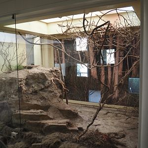 Big spring cleaning in the bird house (Red-fronted serin aviary), 2025-03-16