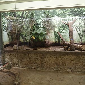 Big spring cleaning in the bird house (starling, robin-chat and crake aviary), 2025-03-16