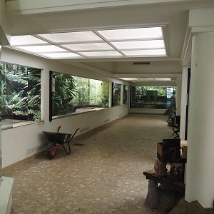 Big spring cleaning in the bird house (Overview of the aviary room), 2025-03-16