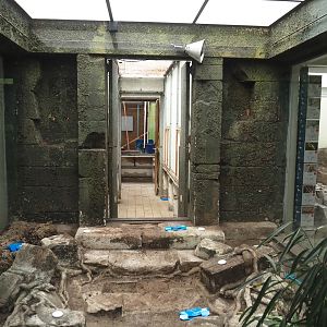 Big spring cleaning in the bird house (Tanager aviary and off-show area), 2025-03-16