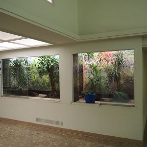 Big spring cleaning in the bird house (Dacnis aviary), 2025-03-16