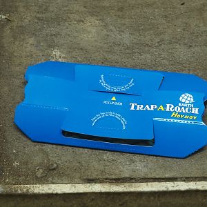 Roach trap in the bird house, 2025-03-16