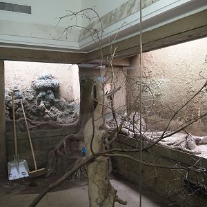 Big spring cleaning in the bird house (Part of Asian aviary), 2025-03-16