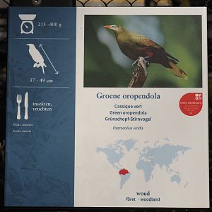 Green oropendola signage, 2025-03-16