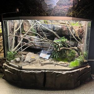 Reptile House future exhibit
