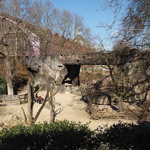 Alpaca and Patagonian mara exhibit, 2025-03-16