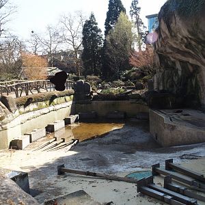 Pinniped exhibit being prepared to house harbor seals again after temporarily housing California sea lions, 2025-03-16