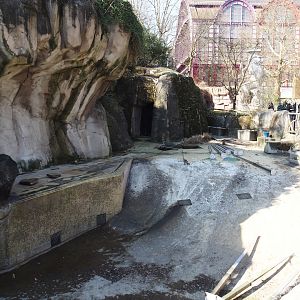 Pinniped exhibit being prepared to house harbor seals again after temporarily housing California sea lions, 2025-03-16