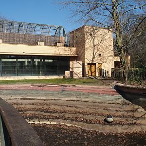 Empty former hippopotamus pool, 2025-03-16