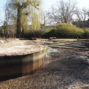 Empty former hippopotamus pool, 2025-03-16