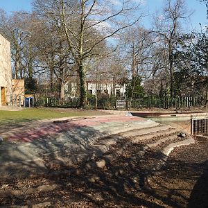 Empty former hippopotamus pool, 2025-03-16