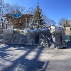 3/22/2025 - Penguins of the Pacific