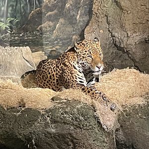 3/22/2025 - Francisco