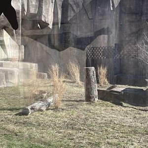 3/22/2025 - New Jaguar Plantings