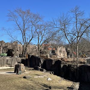 3/22/2025 - Adventure Africa: Phase 3 Construction