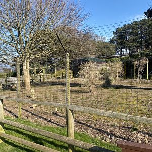 Former rhea enclosure 190325