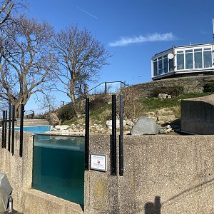 Humboldt penguin enclosure 190325