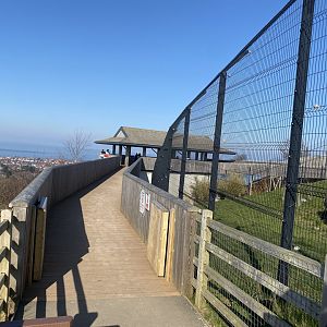 Snow leopard enclosure 190325