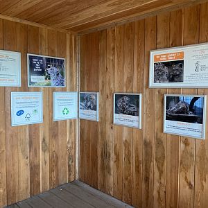 Snow leopard enclosure 190325