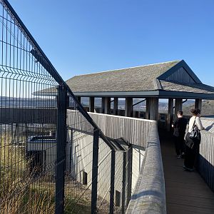 Snow leopard enclosure 190325