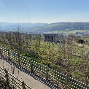 Przewalski’s horse enclosure 190325