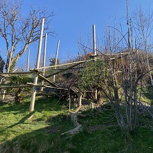 Nepalese red panda enclosure 190325