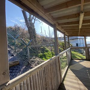 Nepalese red panda enclosure 190325