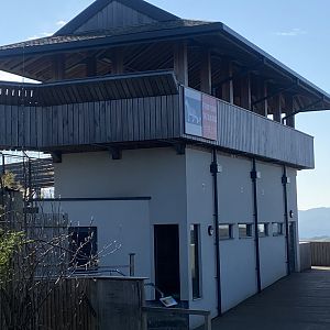 Snow leopard enclosure 190325
