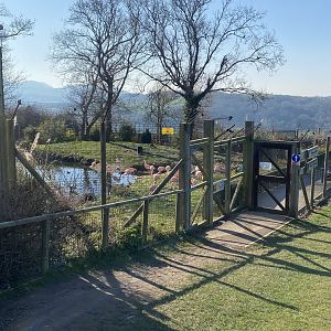 Chilean flamingo and waterfowl enclosure 190325