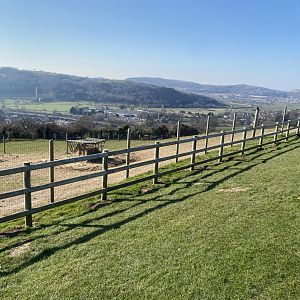 Przewalski’s horse enclosure 190325