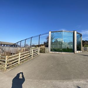 Snow leopard enclosure 190325
