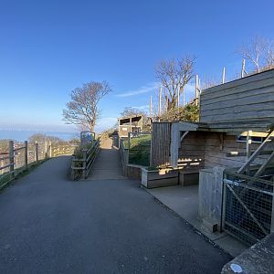 Himalayan Terraces 190325